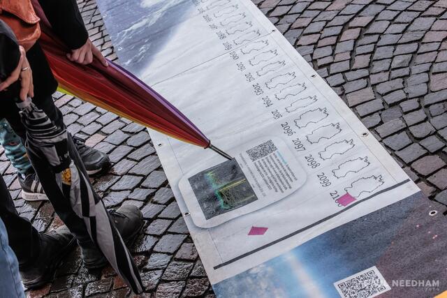 Fridays For Future, Karlsruhe | Foto: Paul Needham