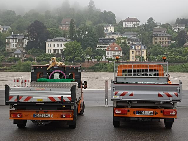 2.6.24 | Foto: Henning Belle 