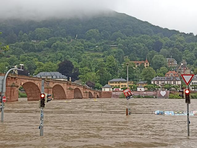 2.6.24 | Foto: Henning Belle