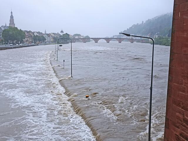 1.6.24 | Foto: Henning Belle 