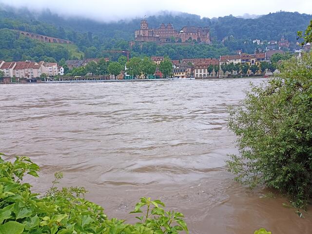 2.6.24 | Foto: Henning Belle 