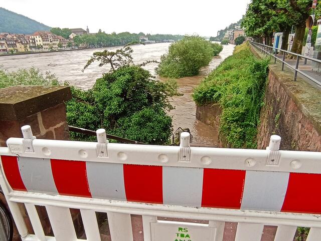 2.6.24 | Foto: Henning Belle