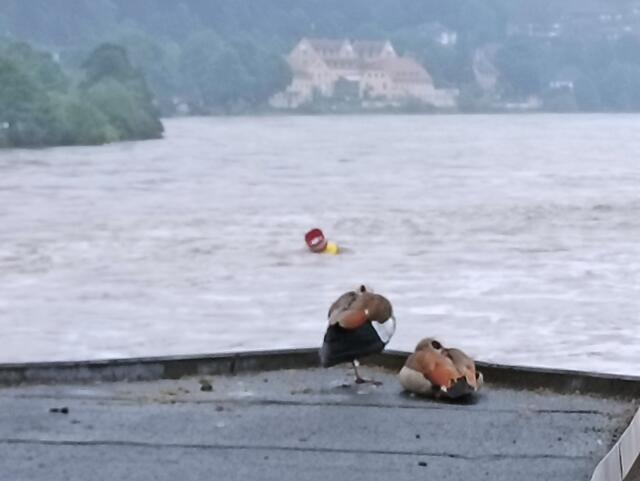 2.6.24 | Foto: Henning Belle