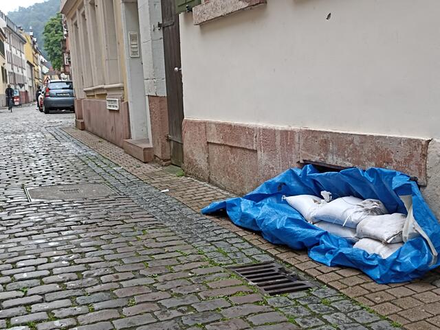 2.6.24 | Foto: Henning Belle