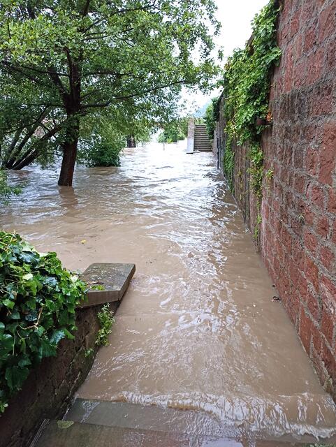 2.6.24 | Foto: Henning Belle 