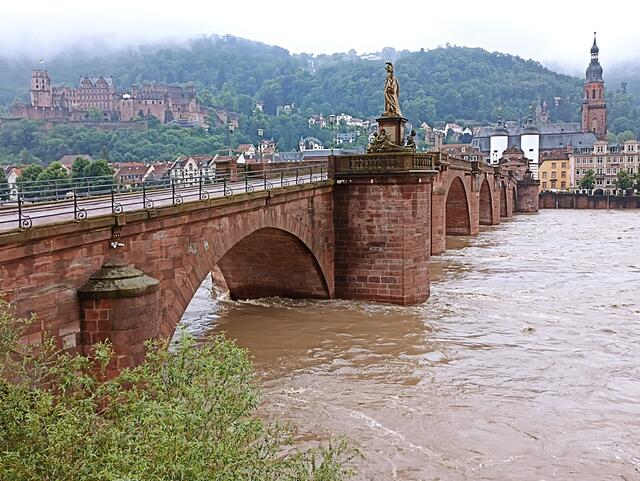 2.6.24 | Foto: Henning Belle