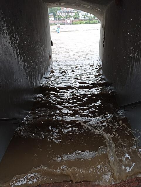 2.6.24 | Foto: Henning Belle