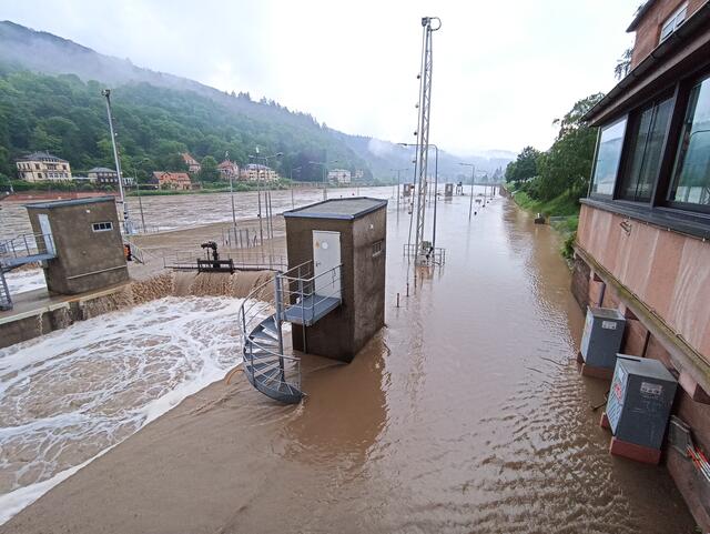 2.6.24 | Foto: Henning Belle