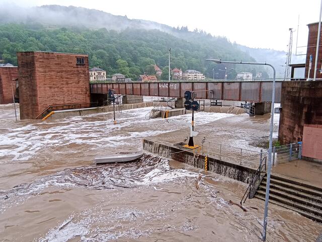 2.6.24 | Foto: Henning Belle