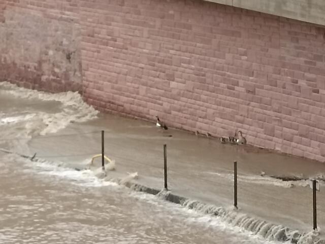 2.6.24 | Foto: Henning Belle 