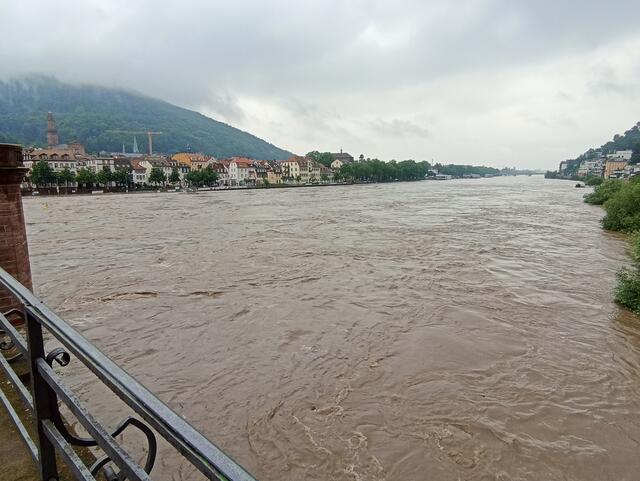 2.6.24 | Foto: Henning Belle