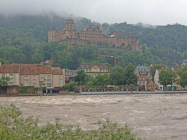 2.6.24 | Foto: Henning Belle 