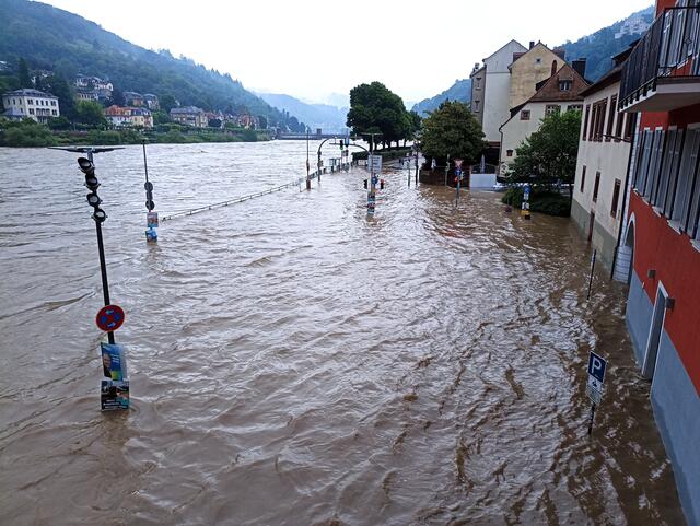 2.6.24 | Foto: Henning Belle