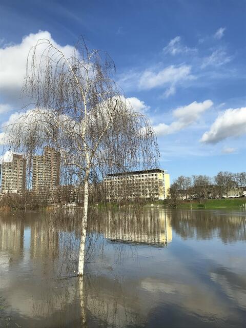Pegelstand des Neckars am 4. Februar 2021: 715 cm | Foto: Anouar Touir