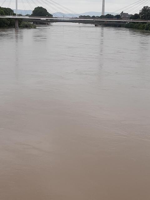 Pegelstand des Neckars am 3. Juni 2024: 848 cm | Foto: Anouar Touir