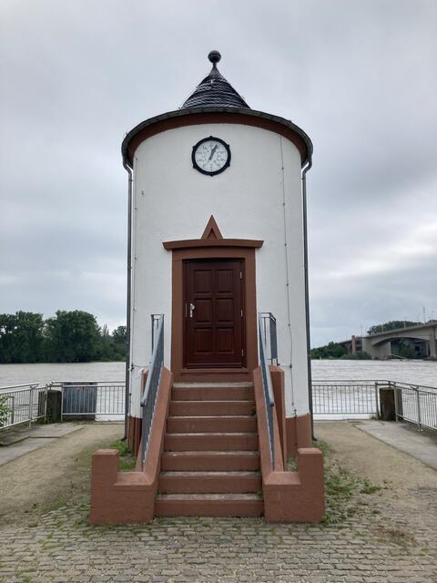 Pegelstand des Rhein bei Worms am 2. Juni 2024: 552 cm | Foto: Anouar Touir