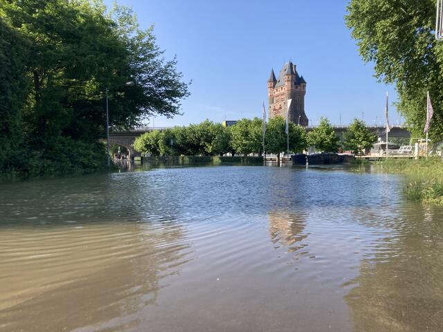 Pegelstand in Worms am Rhein am 3. Juni 2024: 683 cm | Foto: Anouar Touir