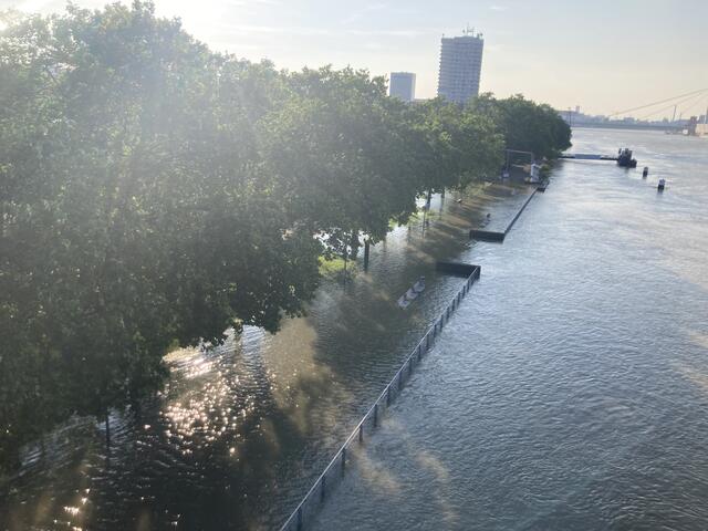 Pegelstand in Ludwigshafen am Rhein am 3. Juni 2024: 813 cm | Foto: Anouar Touir