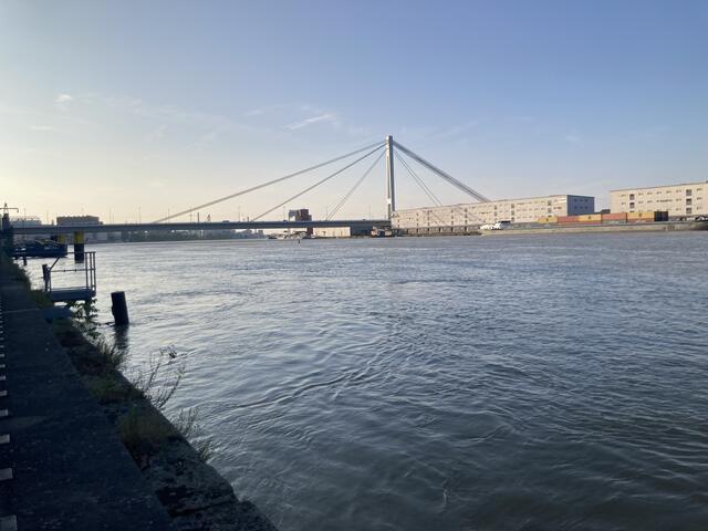 Pegelstand in Ludwigshafen am Rhein am 3. Juni 2024: 813 cm | Foto: Anouar Touir
