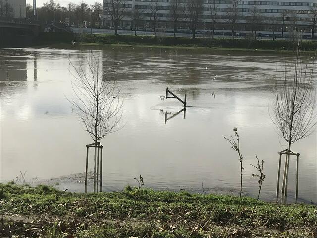 Pegelstand des Neckars am 4. Februar 2021: 715 cm | Foto: Anouar Touir