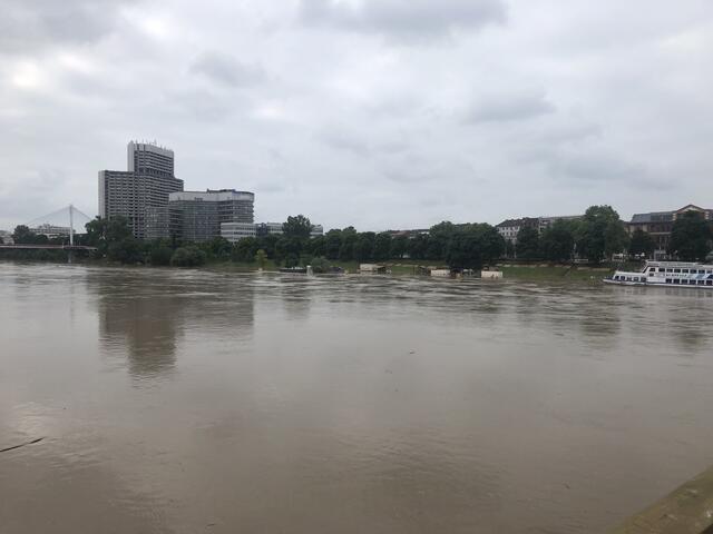 Pegelstand des Neckars am 3. Juni 2024: 848 cm | Foto: Anouar Touir