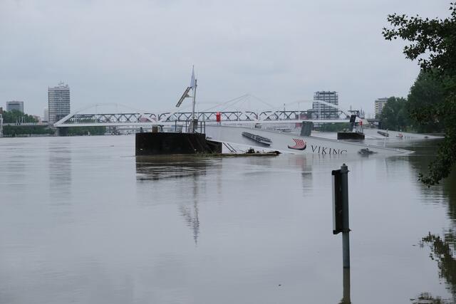 Pegelstand des Rheins an den Mannheimer Rheinterrassen am 3. Juni 2024 | Foto: Jessica Bader