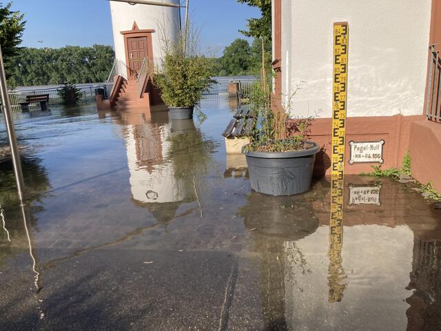 Pegelstand in Worms am Rhein am 3. Juni 2024: 683 cm | Foto: Anouar Touir