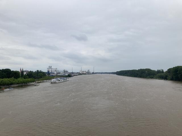 Pegelstand des Rhein bei Worms am 2. Juni 2024: 552 cm | Foto: Anouar Touir