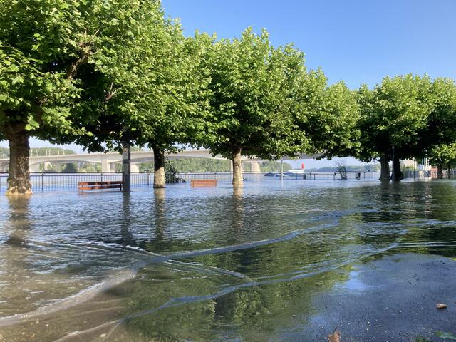 Pegelstand in Worms am Rhein am 3. Juni 2024: 683 cm | Foto: Anouar Touir