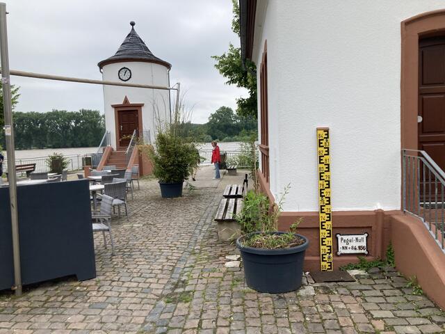 Pegelstand des Rhein bei Worms am 2. Juni 2024: 552 cm | Foto: Anouar Touir