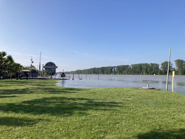 Pegelstand in Worms am Rhein am 3. Juni 2024: 683 cm | Foto: Anouar Touir