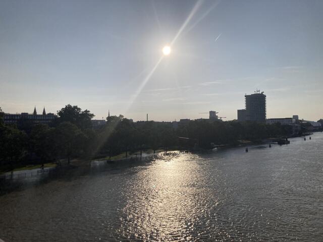 Pegelstand in Ludwigshafen am Rhein am 3. Juni 2024: 813 cm | Foto: Anouar Touir