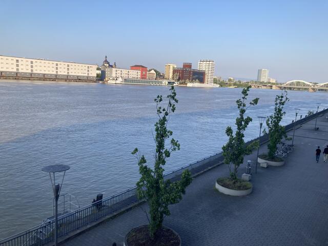 Pegelstand in Ludwigshafen am Rhein am 3. Juni 2024: 813 cm | Foto: Anouar Touir