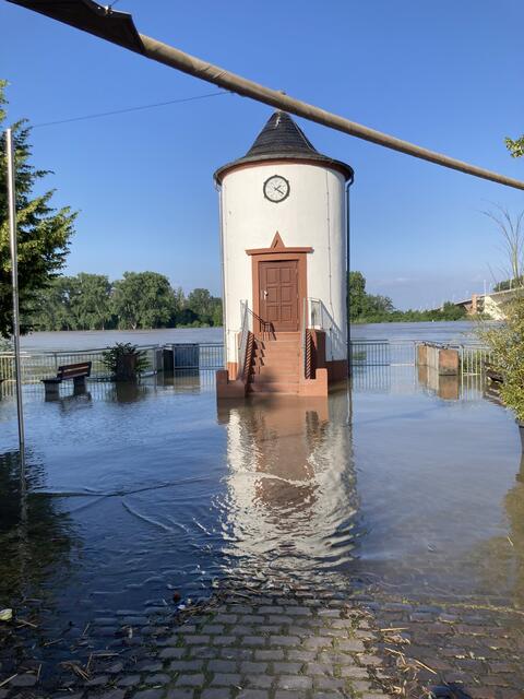 Pegelstand in Worms am Rhein am 3. Juni 2024: 683 cm | Foto: Anouar Touir