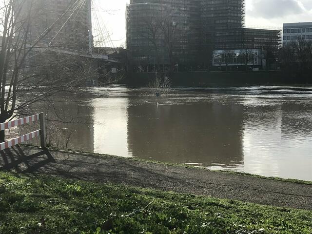 Pegelstand des Neckars am 4. Februar 2021: 715 cm | Foto: Anouar Touir