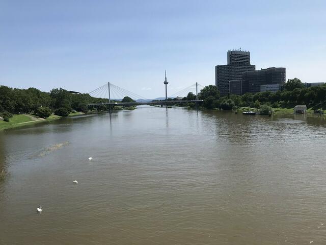 Pegelstand des Neckars am 18. Juli 2021: 710 cm | Foto: Anouar Touir