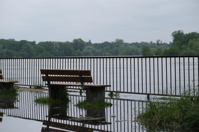 Pegelstand des Rheins an den Mannheimer Rheinterrassen am 3. Juni 2024 | Foto: Jessica Bader