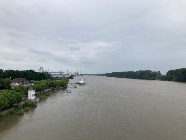 Pegelstand des Rhein bei Worms am 2. Juni 2024: 552 cm | Foto: Anouar Touir 