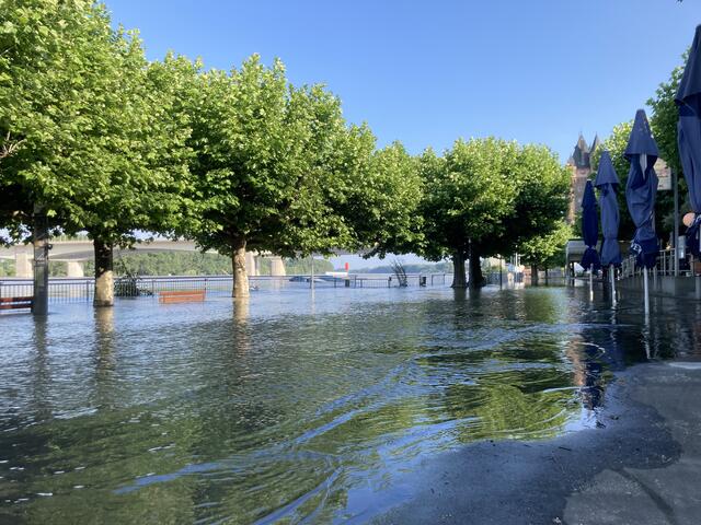 Pegelstand in Worms am Rhein am 3. Juni 2024: 683 cm | Foto: Anouar Touir