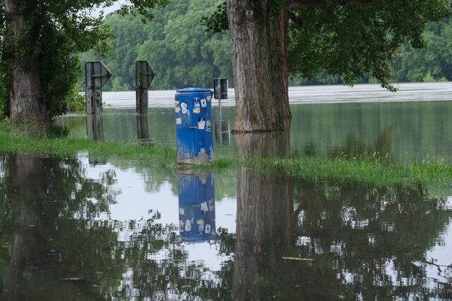 Pegelstand des Rheins an den Mannheimer Rheinterrassen am 3. Juni 2024 | Foto: Jessica Bader