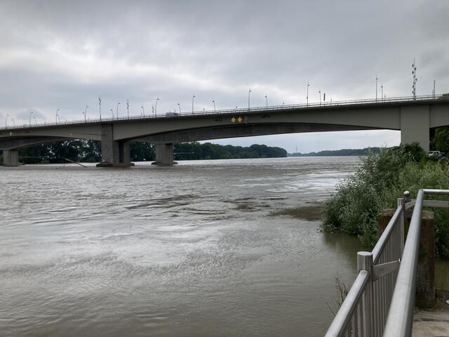 Pegelstand des Rhein bei Worms am 2. Juni 2024: 552 cm | Foto: Anouar Touir