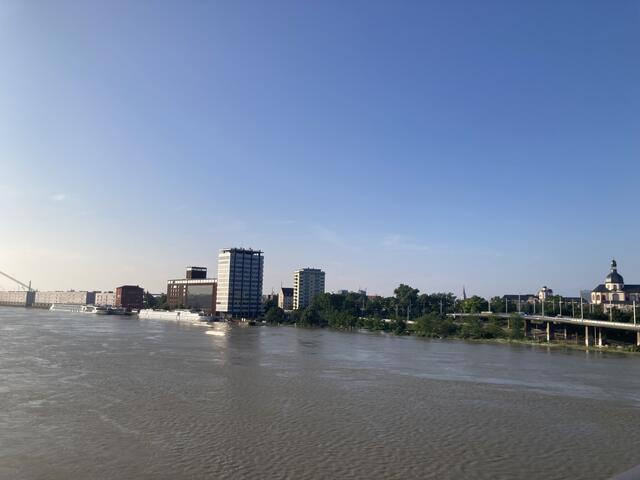 Pegelstand in Ludwigshafen am Rhein am 3. Juni 2024: 813 cm | Foto: Anouar Touir