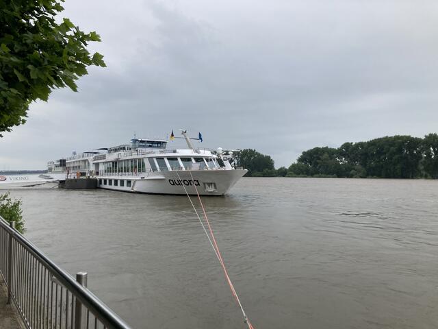 Pegelstand des Rhein bei Worms am 2. Juni 2024: 552 cm | Foto: Anouar Touir
