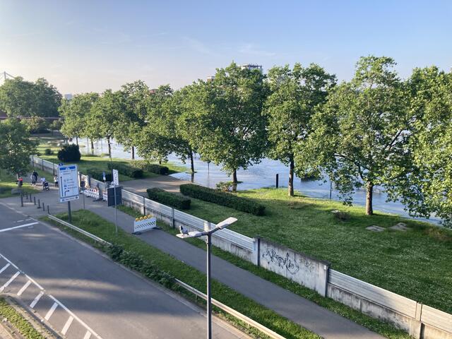 Pegelstand in Ludwigshafen am Rhein am 3. Juni 2024: 813 cm | Foto: Anouar Touir