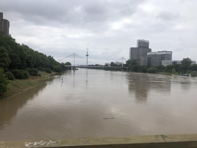 Pegelstand des Neckars am 3. Juni 2024: 848 cm | Foto: Anouar Touir
