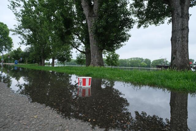 Pegelstand des Rheins an den Mannheimer Rheinterrassen am 3. Juni 2024 | Foto: Jessica Bader