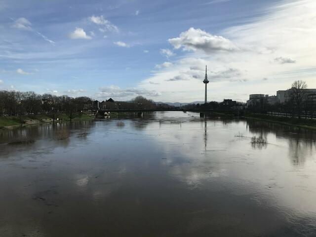 Pegelstand des Neckars am 4. Februar 2021: 715 cm | Foto: Anouar Touir