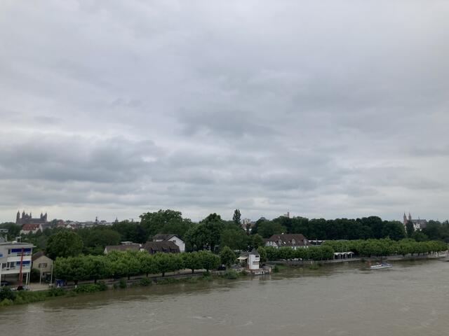 Pegelstand des Rhein bei Worms am 2. Juni 2024: 552 cm | Foto: Anouar Touir
