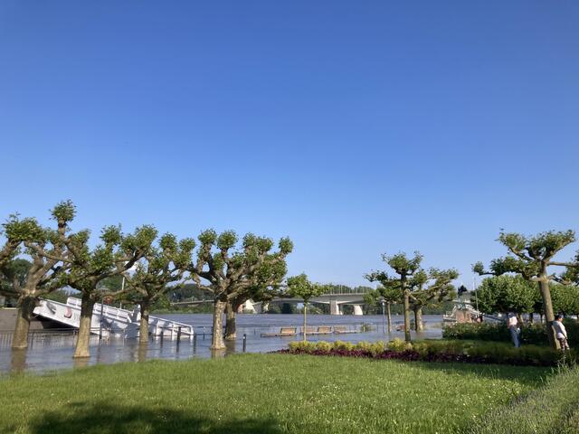 Pegelstand in Worms am Rhein am 3. Juni 2024: 683 cm | Foto: Anouar Touir