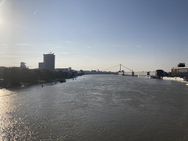 Pegelstand in Ludwigshafen am Rhein am 3. Juni 2024: 813 cm | Foto: Anouar Touir